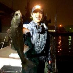 シーマジカル 釣果