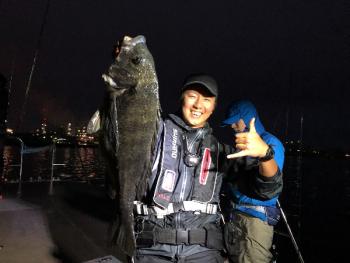 シーマジカル 釣果