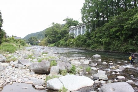 狩野川(狩野川漁業協同組合) 釣果