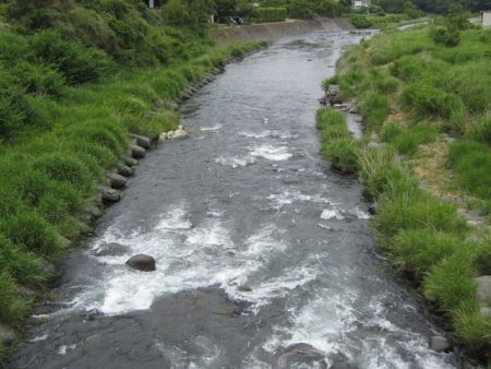 狩野川(狩野川漁業協同組合) 釣果