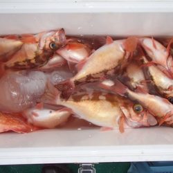 第二むつ漁丸 釣果