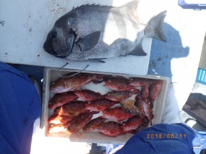石川丸 釣果