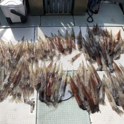 ふじしめ丸 釣果