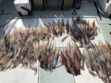 ふじしめ丸 釣果