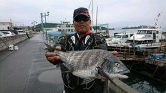 まこと渡船 釣果