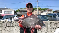 まこと渡船 釣果