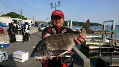 まこと渡船 釣果