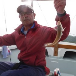 遊漁船 幸友丸 釣果