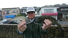 まこと渡船 釣果