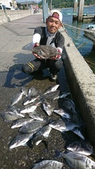 まこと渡船 釣果