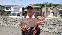 まこと渡船 釣果