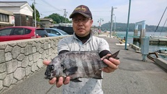 まこと渡船 釣果