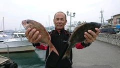 まこと渡船 釣果