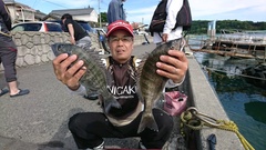 まこと渡船 釣果