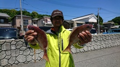 まこと渡船 釣果