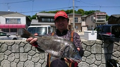 まこと渡船 釣果