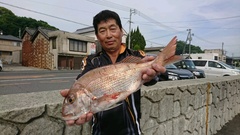 まこと渡船 釣果