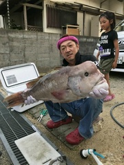 まこと渡船 釣果