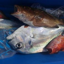 遊漁船 新鋭丸 釣果