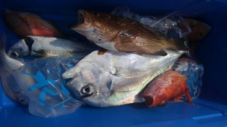 遊漁船 新鋭丸 釣果