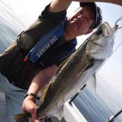 BlueNote Fishing Taxi 釣果