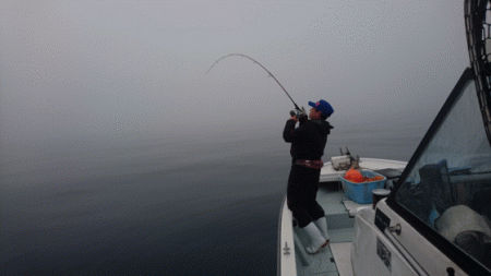 遊漁船ブルーウッズ 釣果