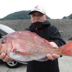 大進丸(新潟) 釣果