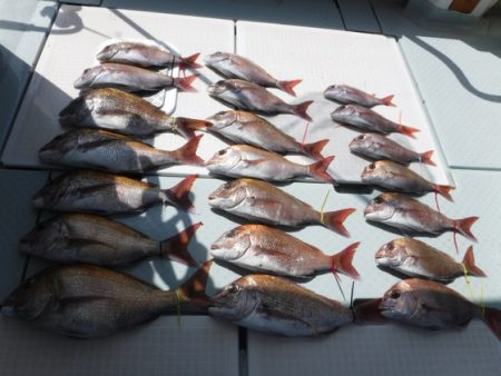 遊漁船 幸友丸 釣果