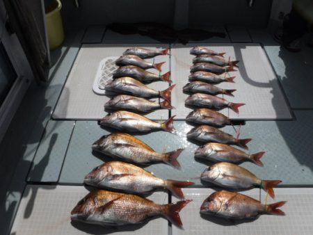 遊漁船 幸友丸 釣果