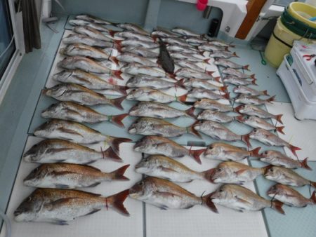 遊漁船 幸友丸 釣果