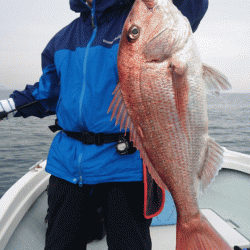 遊漁船ブルーウッズ 釣果