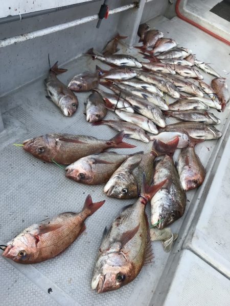 寿裕 （YOSHIHIRO） 釣果