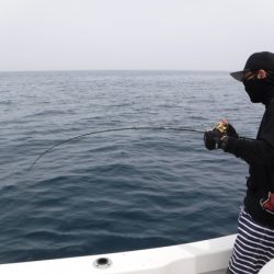 ＢｌｕｅＮｏｔｅ　Ｆｉｓｈｉｎｇ　Ｔａｘｉ 釣果