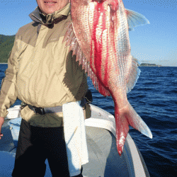 遊漁船ブルーウッズ 釣果