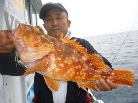 真祐丸 （しんゆうまる） 釣果