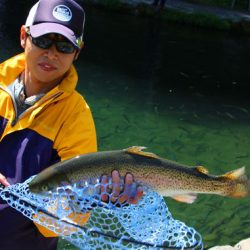 小菅トラウトガーデン 釣果