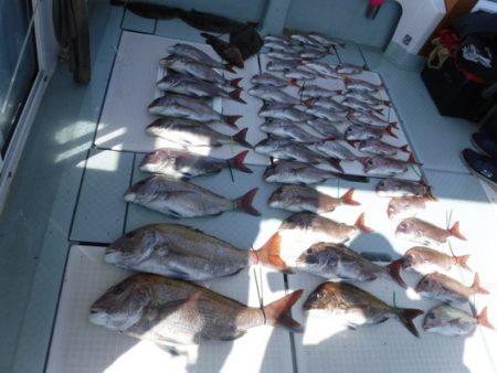 遊漁船 幸友丸 釣果