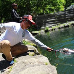 小菅トラウトガーデン 釣果