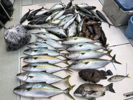 ふじしめ丸 釣果