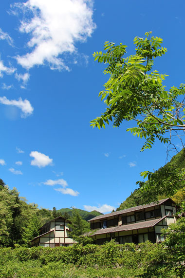 小菅トラウトガーデン 釣果