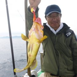 真祐丸 （しんゆうまる） 釣果