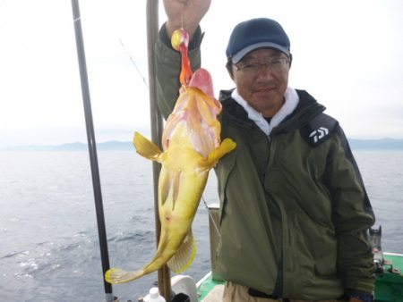 真祐丸 （しんゆうまる） 釣果