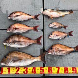 遊漁船高橋 釣果