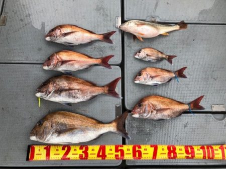 遊漁船高橋 釣果