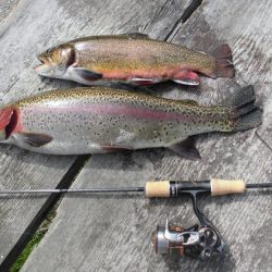 高萩ふれあいの里フィッシングエリア 釣果