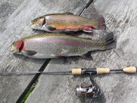 高萩ふれあいの里フィッシングエリア 釣果