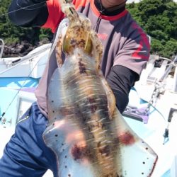 海晴丸 釣果