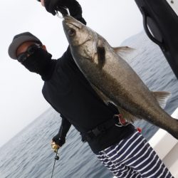 ＢｌｕｅＮｏｔｅ　Ｆｉｓｈｉｎｇ　Ｔａｘｉ 釣果