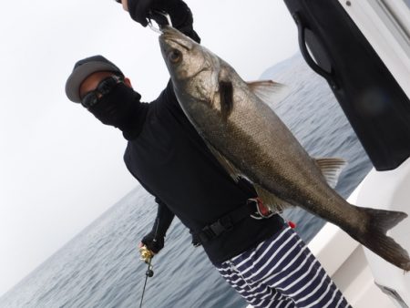 ＢｌｕｅＮｏｔｅ　Ｆｉｓｈｉｎｇ　Ｔａｘｉ 釣果