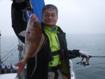 遊漁船 幸友丸 釣果